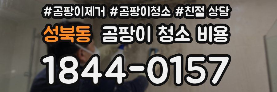 성북동 곰팡이 청소 비용