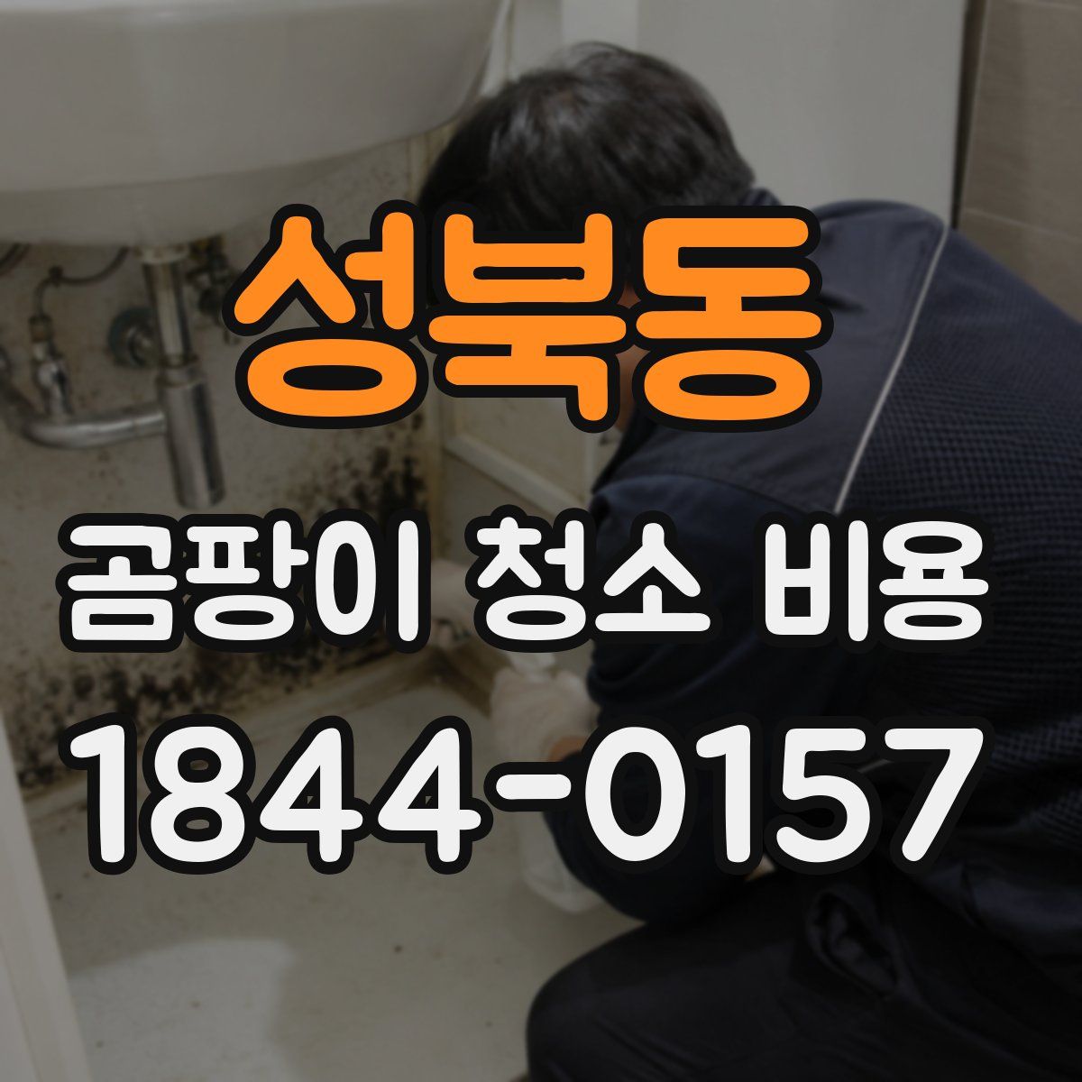 성북동 곰팡이 청소 비용