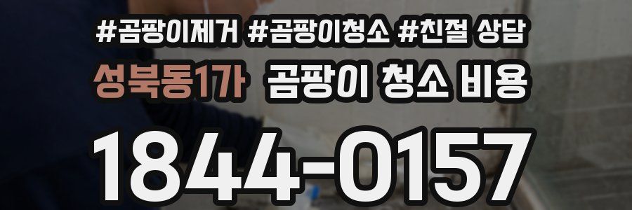 성북동1가 곰팡이 청소 비용