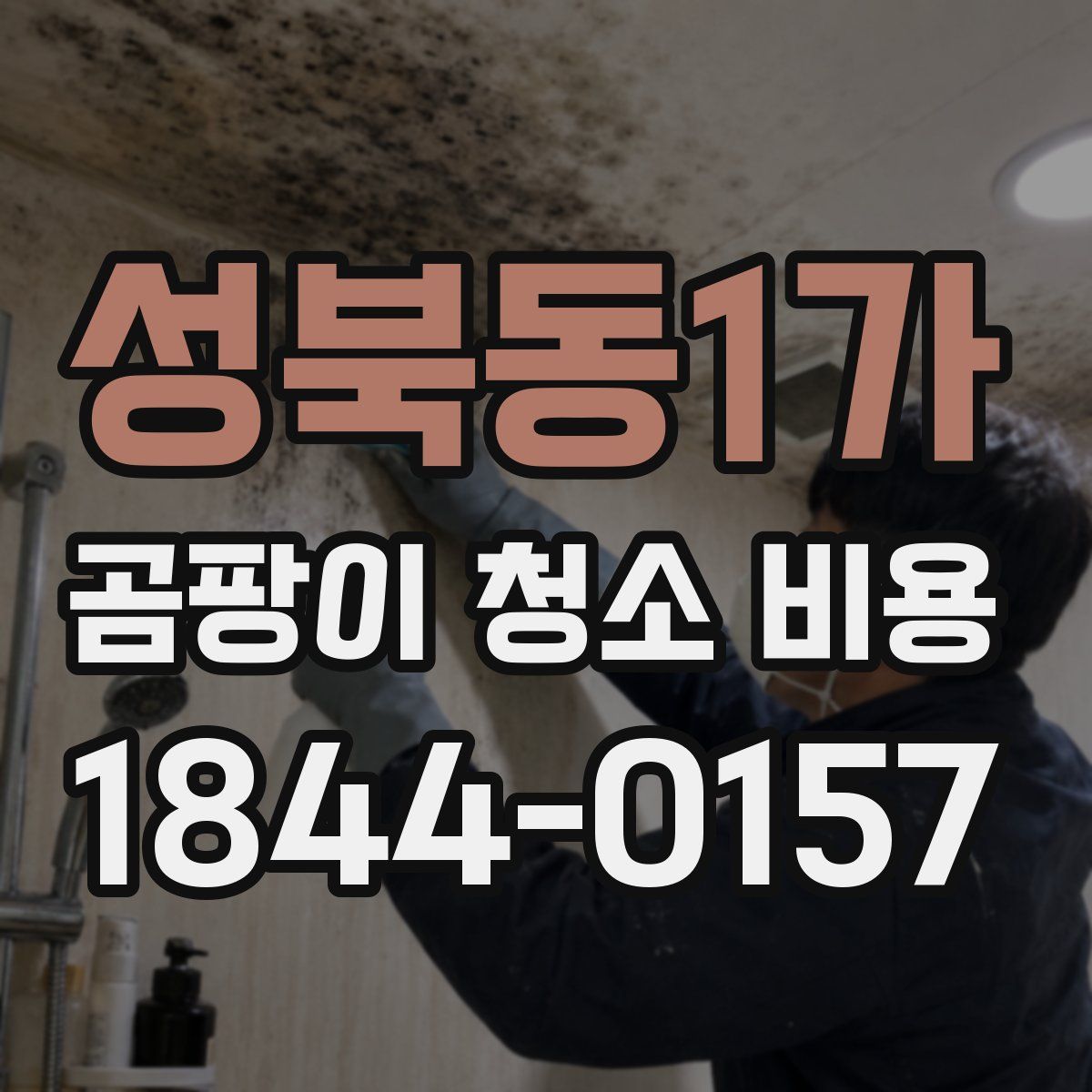 성북동1가 곰팡이 청소 비용