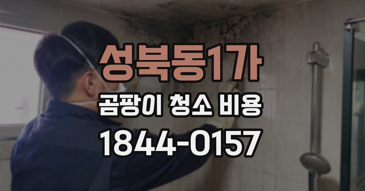 성북동1가 곰팡이 청소 비용