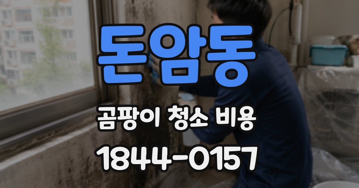 돈암동 곰팡이 청소 비용