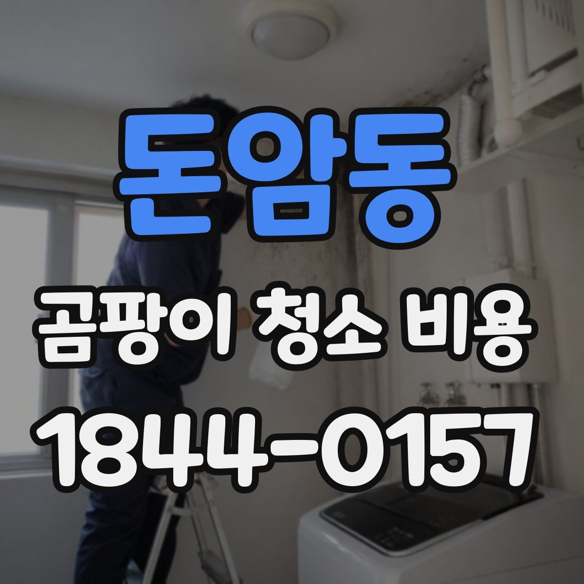 돈암동 곰팡이 청소 비용