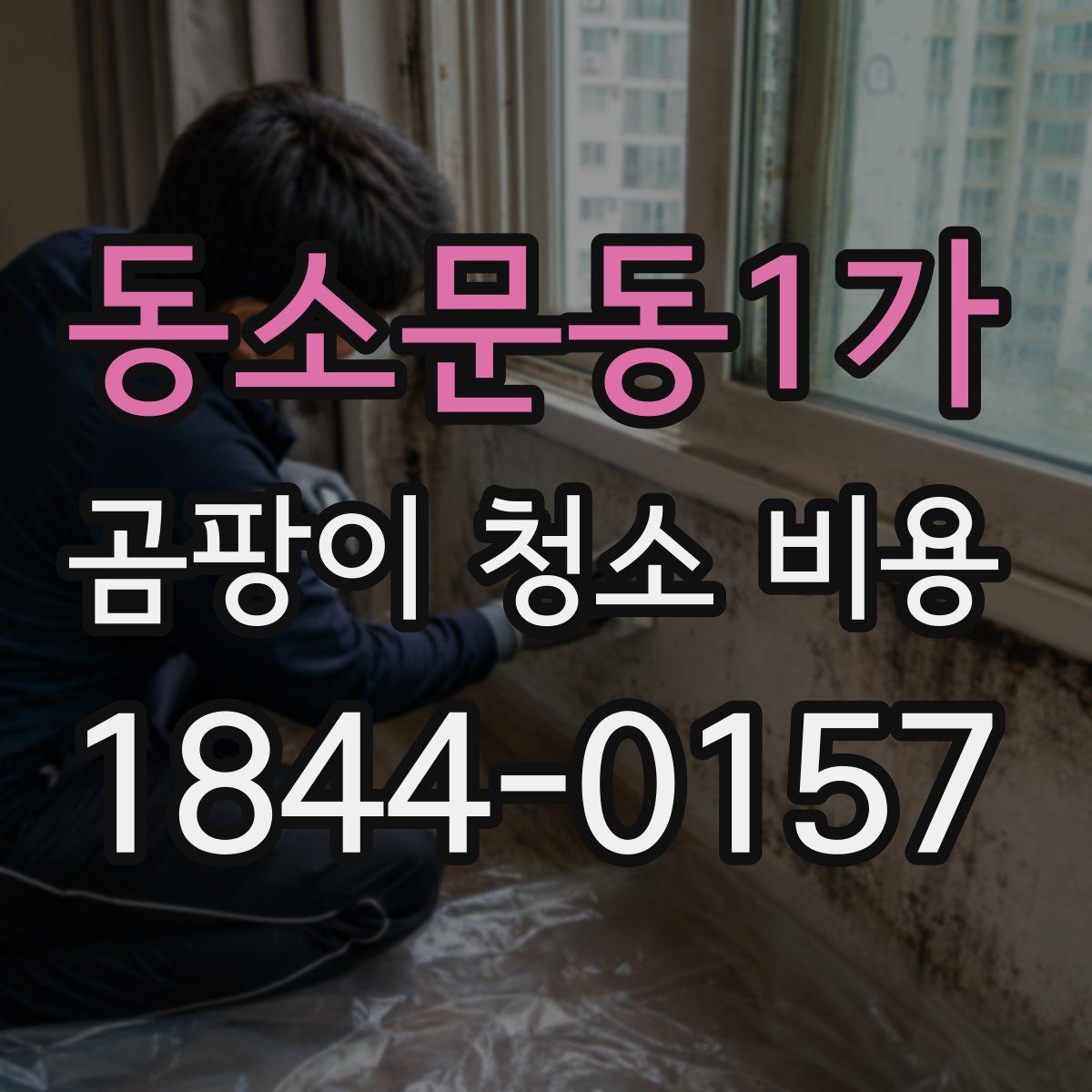 동소문동1가 곰팡이 청소 비용