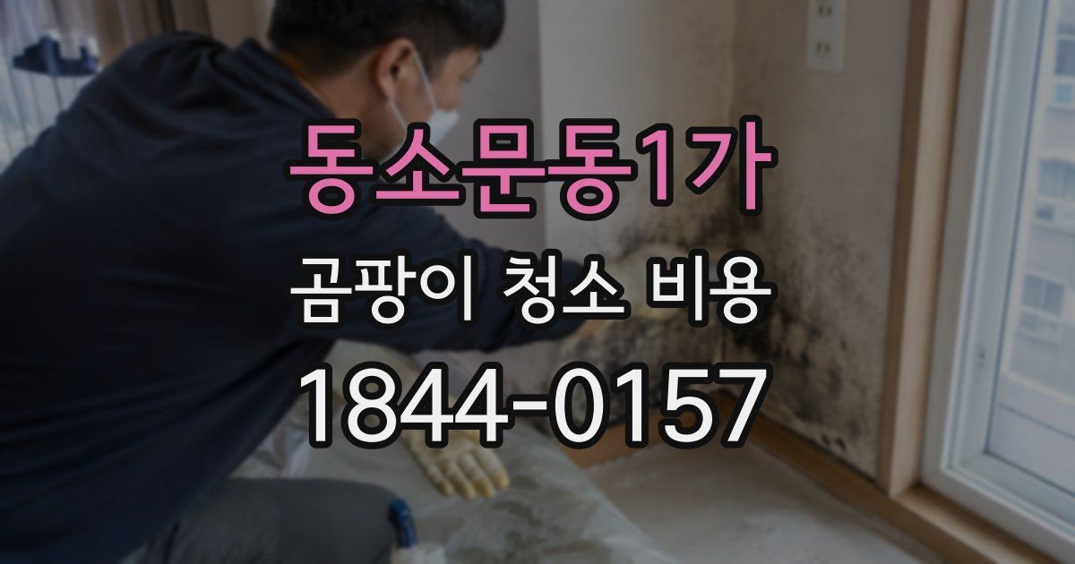 동소문동1가 곰팡이 청소 비용