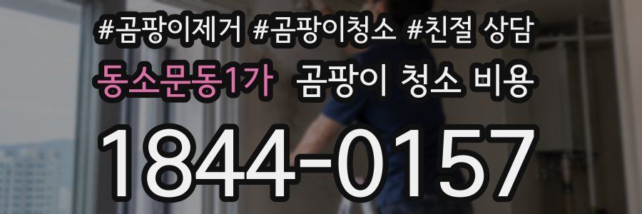 동소문동1가 곰팡이 청소 비용