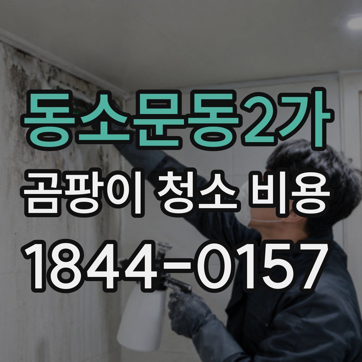 동소문동2가 곰팡이 청소 비용