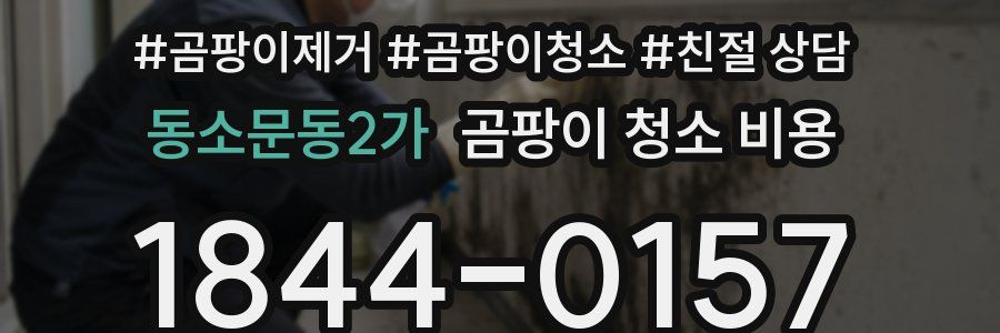 동소문동2가 곰팡이 청소 비용