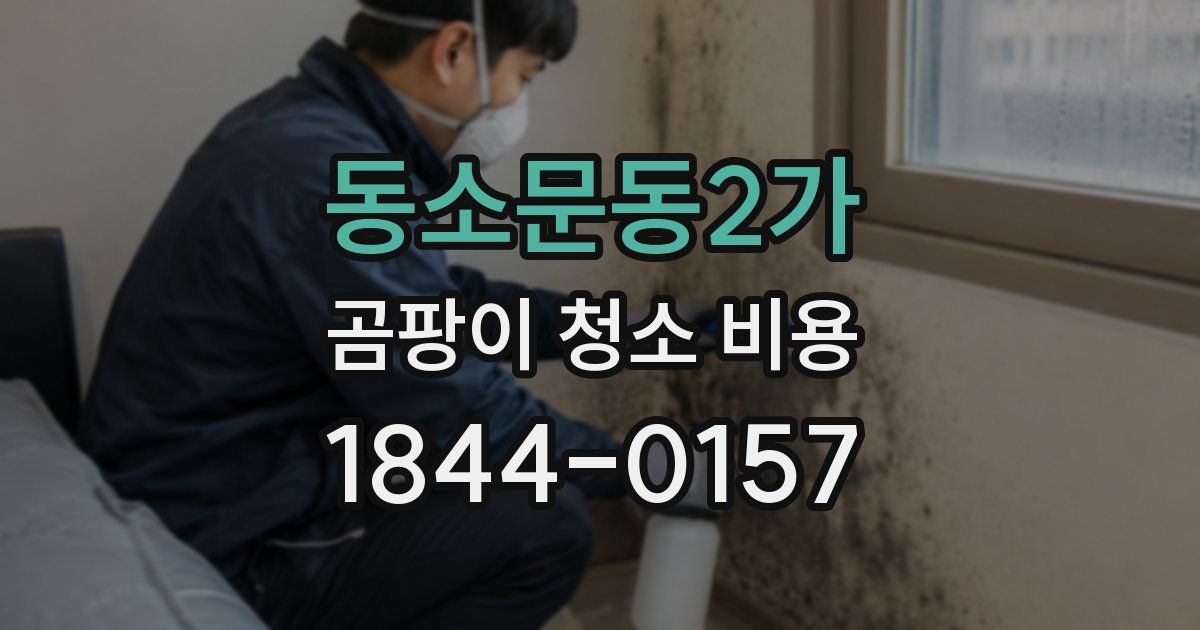동소문동2가 곰팡이 청소 비용