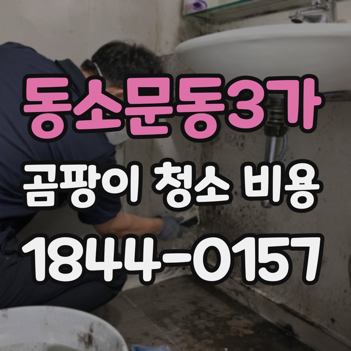 동소문동3가 곰팡이 청소 비용