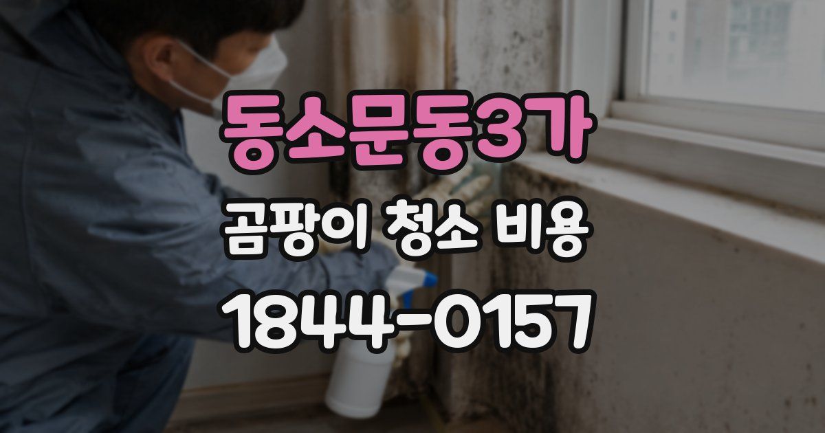 동소문동3가 곰팡이 청소 비용
