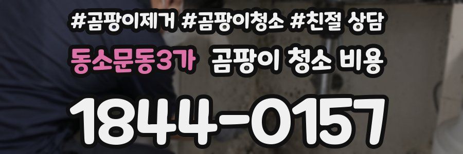 동소문동3가 곰팡이 청소 비용
