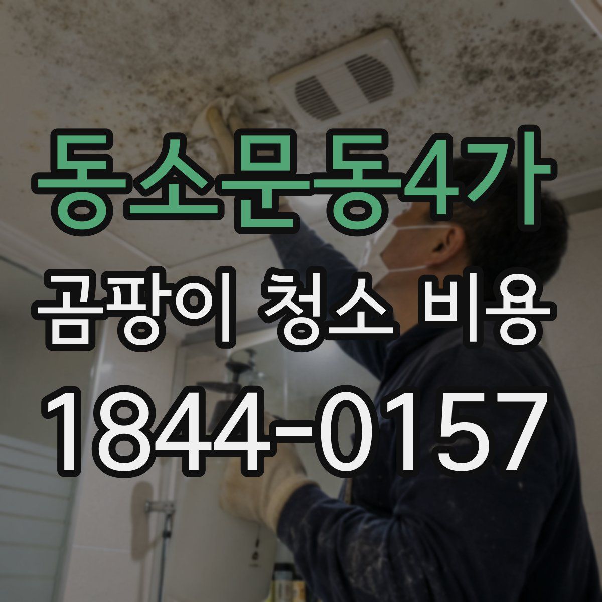 동소문동4가 곰팡이 청소 비용