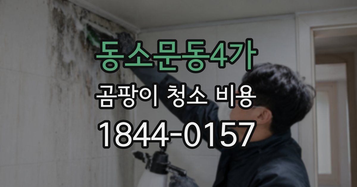 동소문동4가 곰팡이 청소 비용