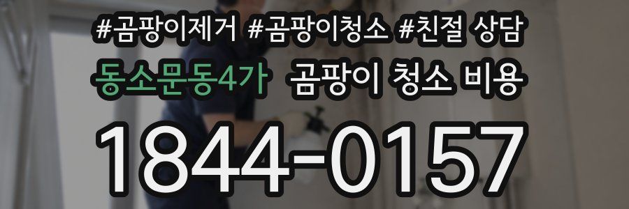 동소문동4가 곰팡이 청소 비용