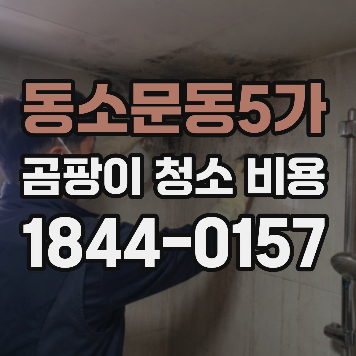 동소문동5가 곰팡이 청소 비용