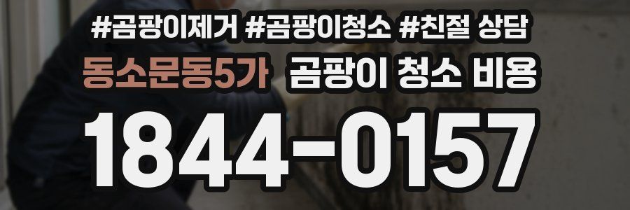 동소문동5가 곰팡이 청소 비용