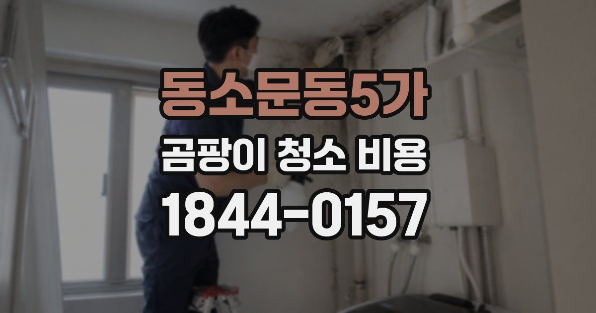 동소문동5가 곰팡이 청소 비용