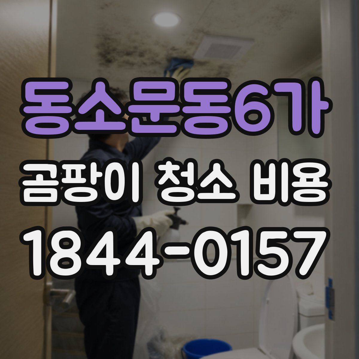 동소문동6가 곰팡이 청소 비용