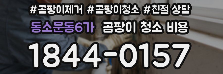 동소문동6가 곰팡이 청소 비용