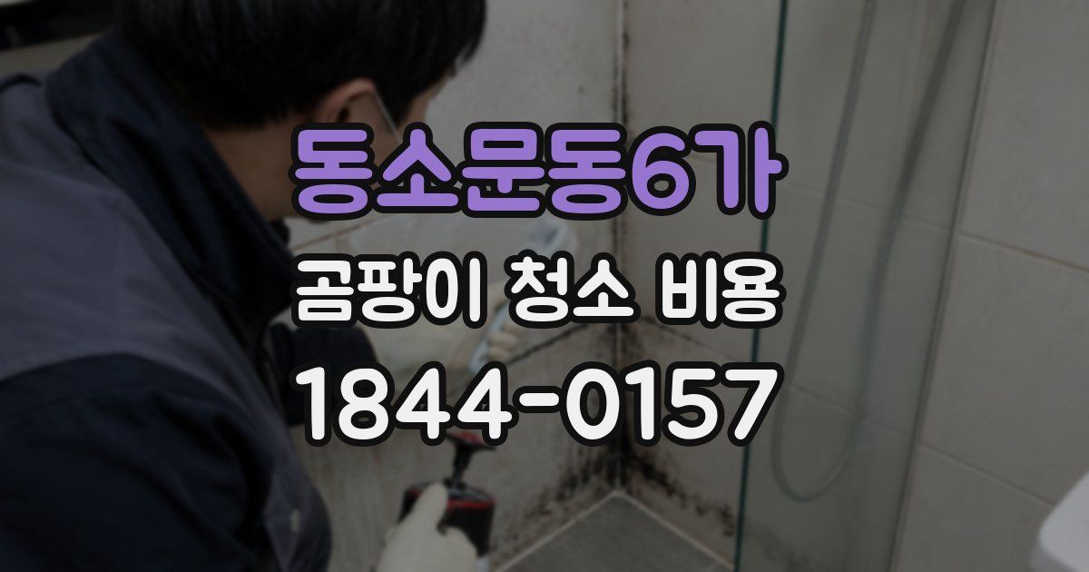 동소문동6가 곰팡이 청소 비용