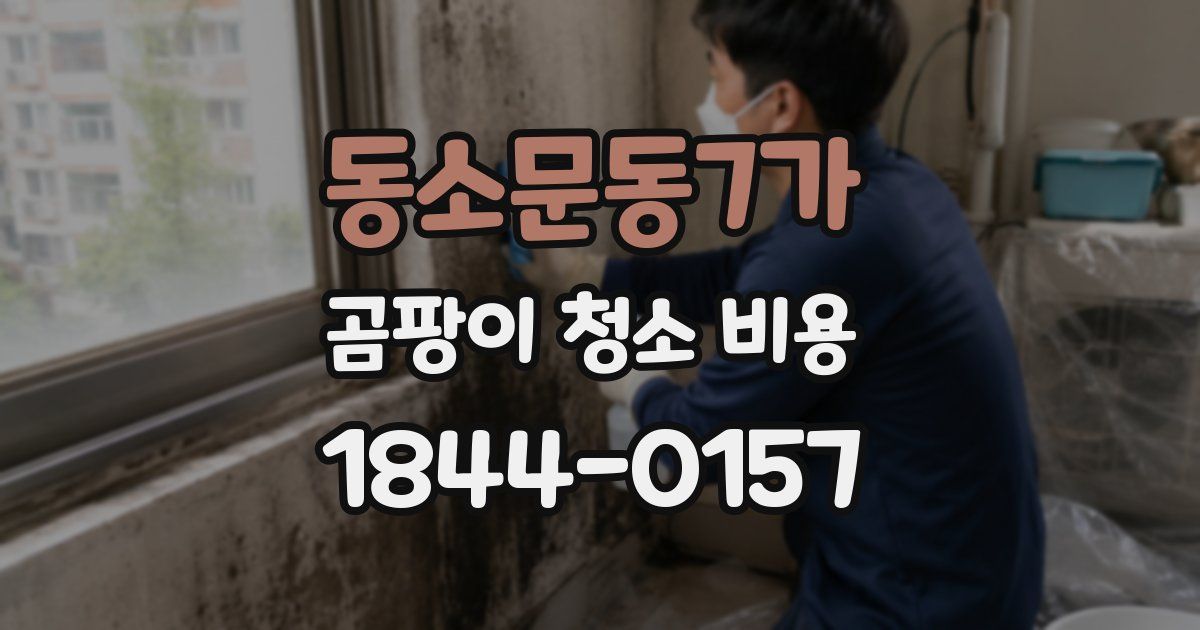 동소문동7가 곰팡이 청소 비용