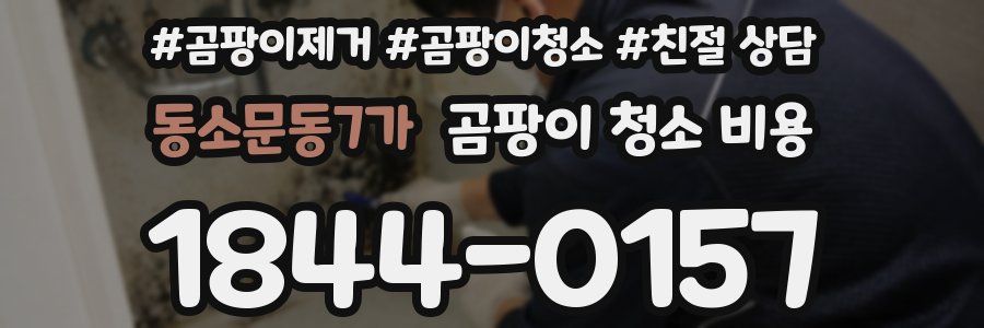 동소문동7가 곰팡이 청소 비용