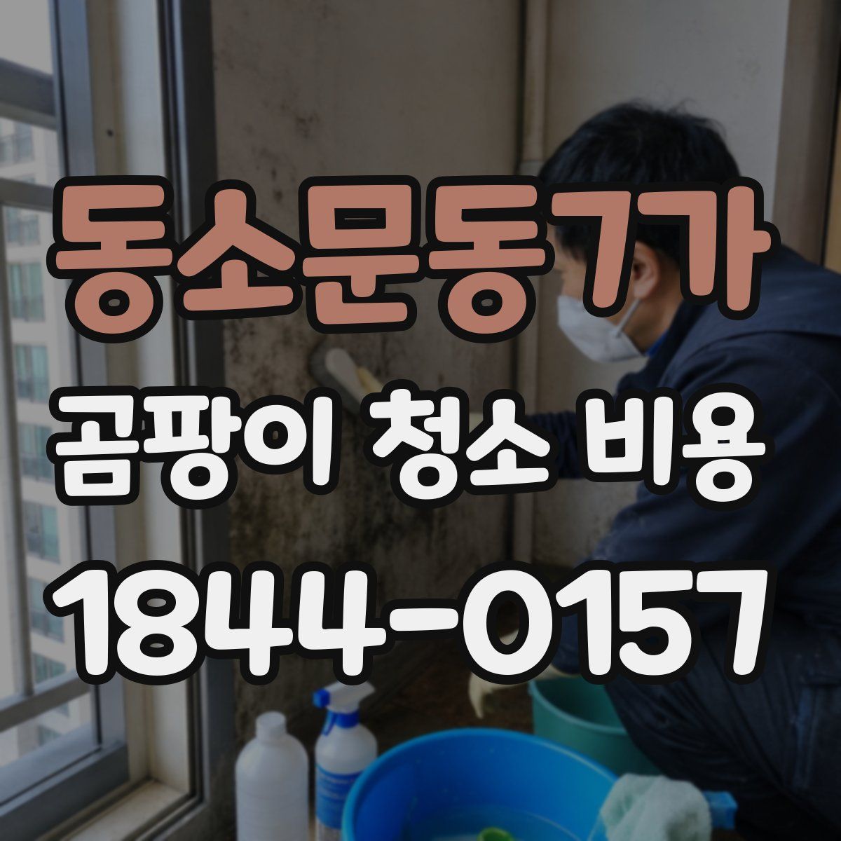 동소문동7가 곰팡이 청소 비용