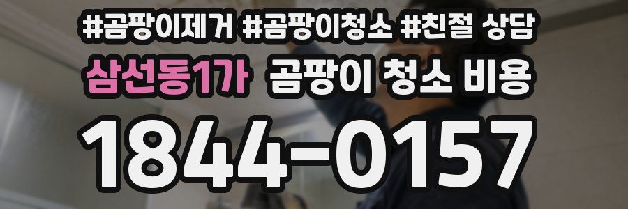 삼선동1가 곰팡이 청소 비용