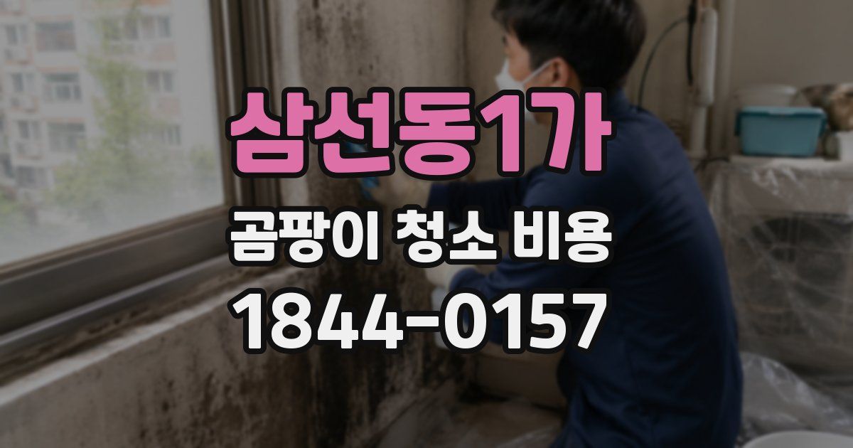 삼선동1가 곰팡이 청소 비용