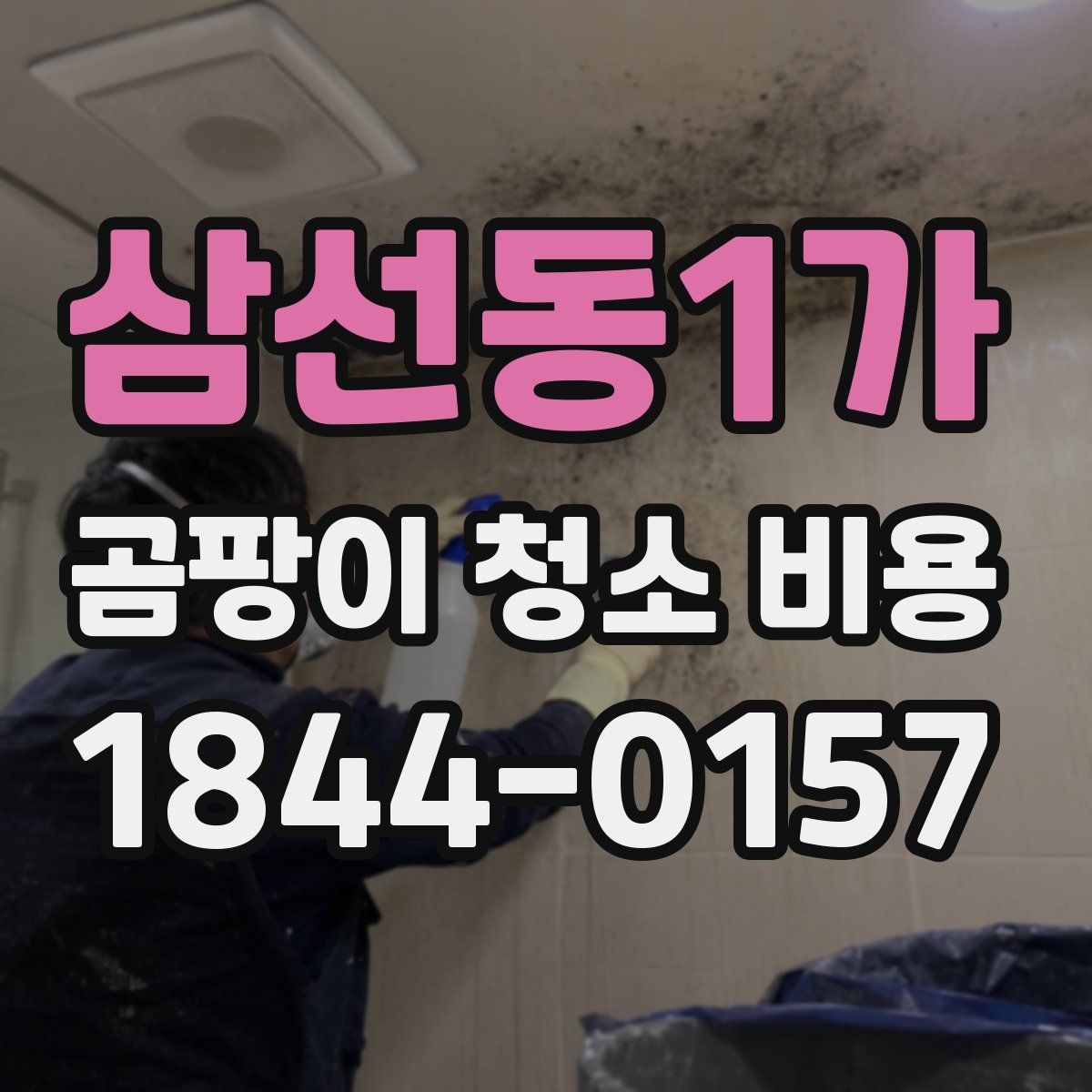 삼선동1가 곰팡이 청소 비용