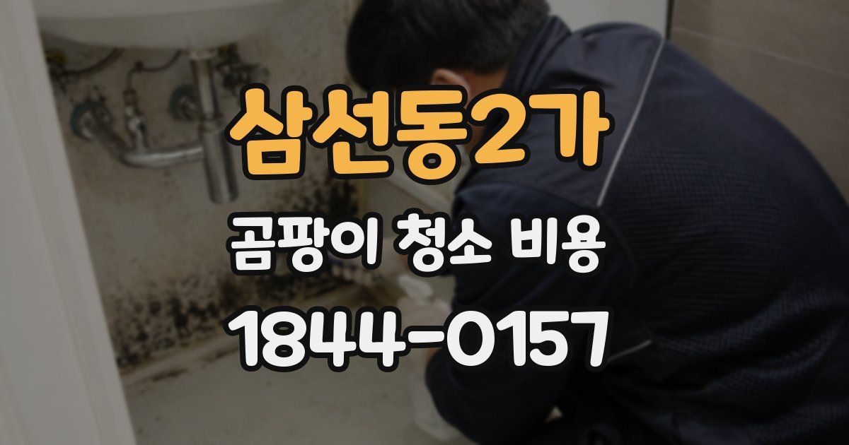 삼선동2가 곰팡이 청소 비용