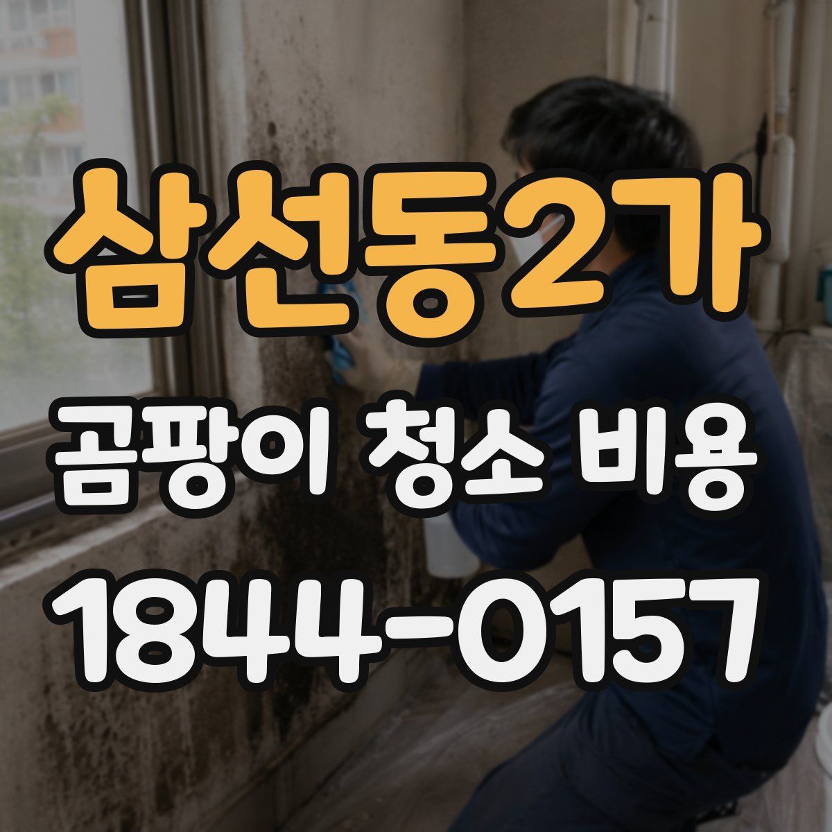 삼선동2가 곰팡이 청소 비용