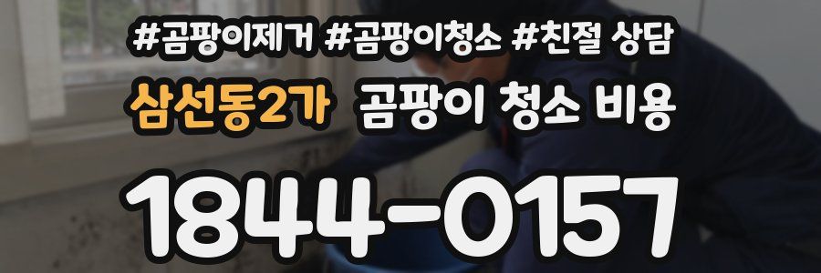 삼선동2가 곰팡이 청소 비용