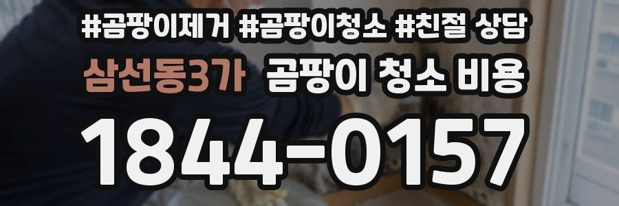 삼선동3가 곰팡이 청소 비용
