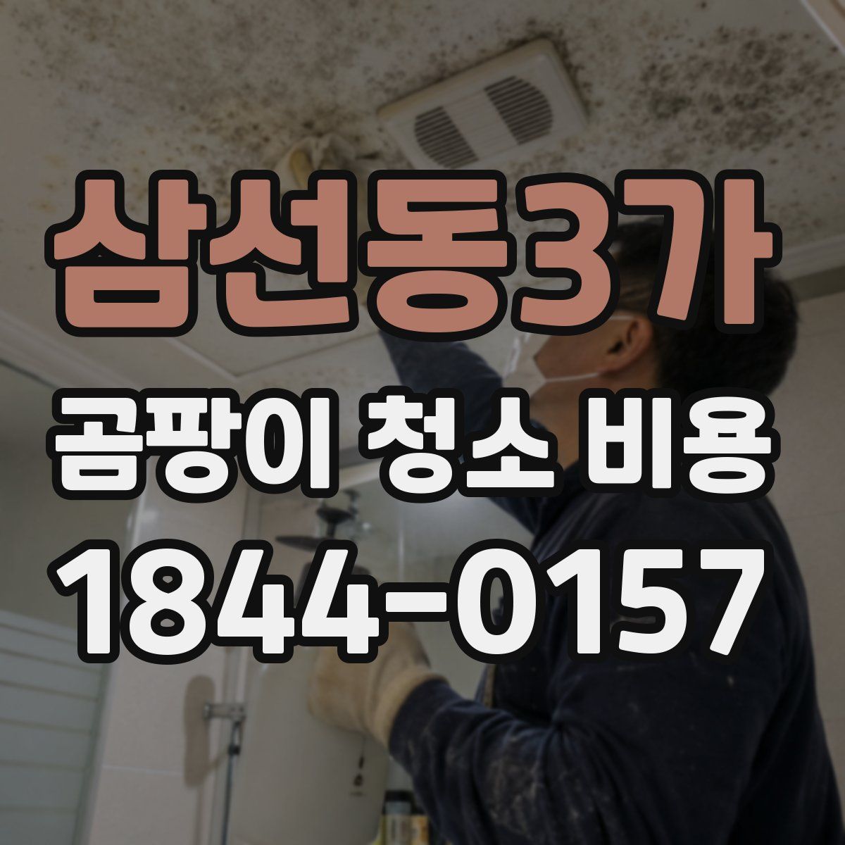 삼선동3가 곰팡이 청소 비용