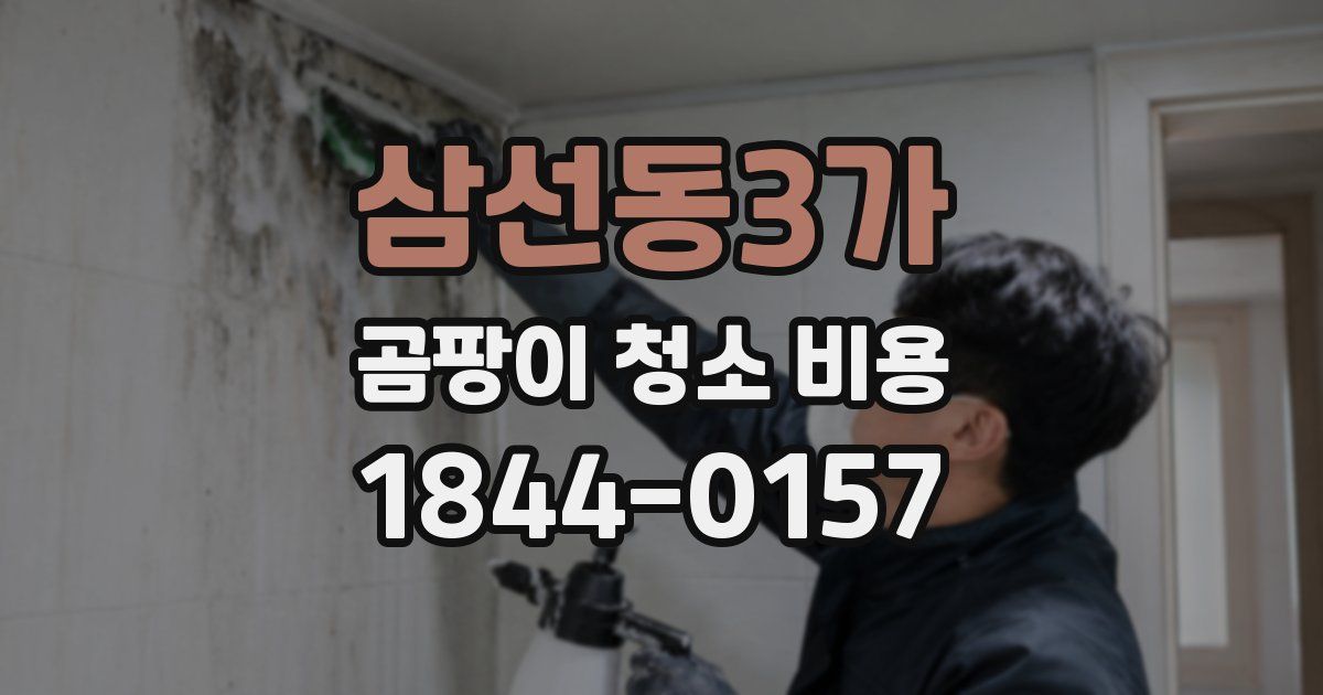 삼선동3가 곰팡이 청소 비용