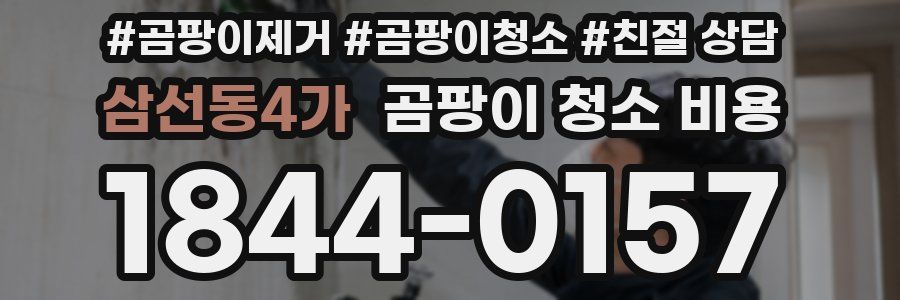 삼선동4가 곰팡이 청소 비용