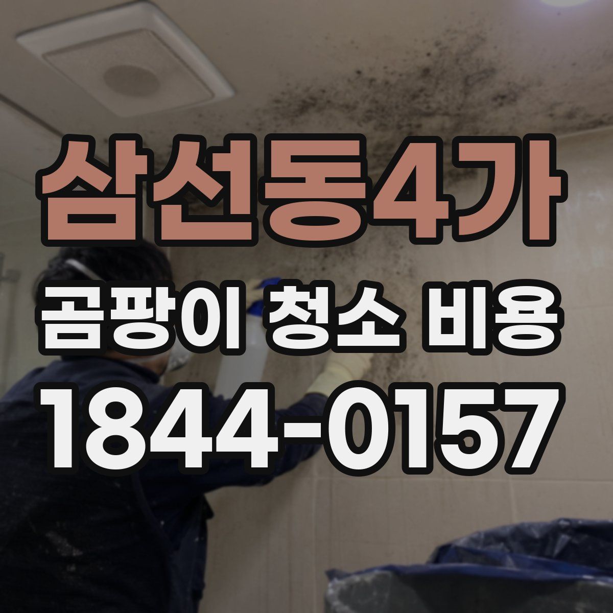 삼선동4가 곰팡이 청소 비용