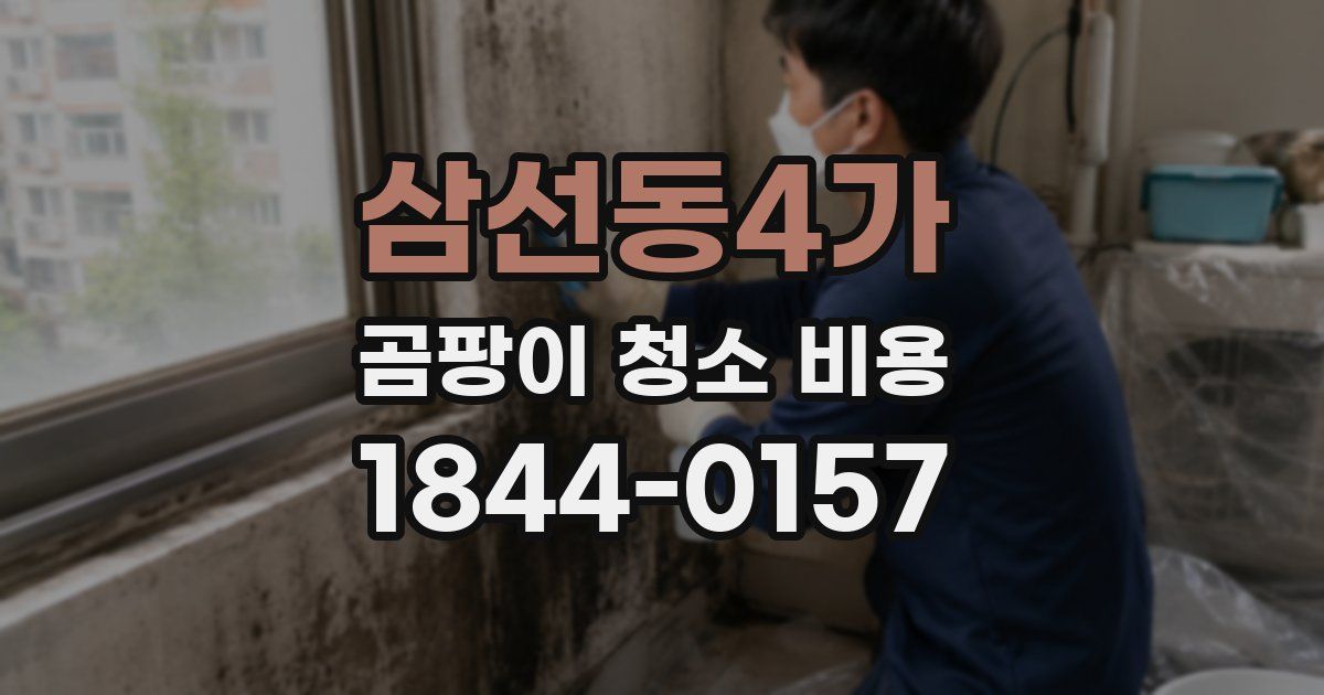 삼선동4가 곰팡이 청소 비용