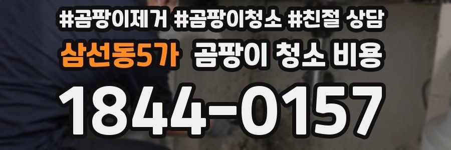 삼선동5가 곰팡이 청소 비용