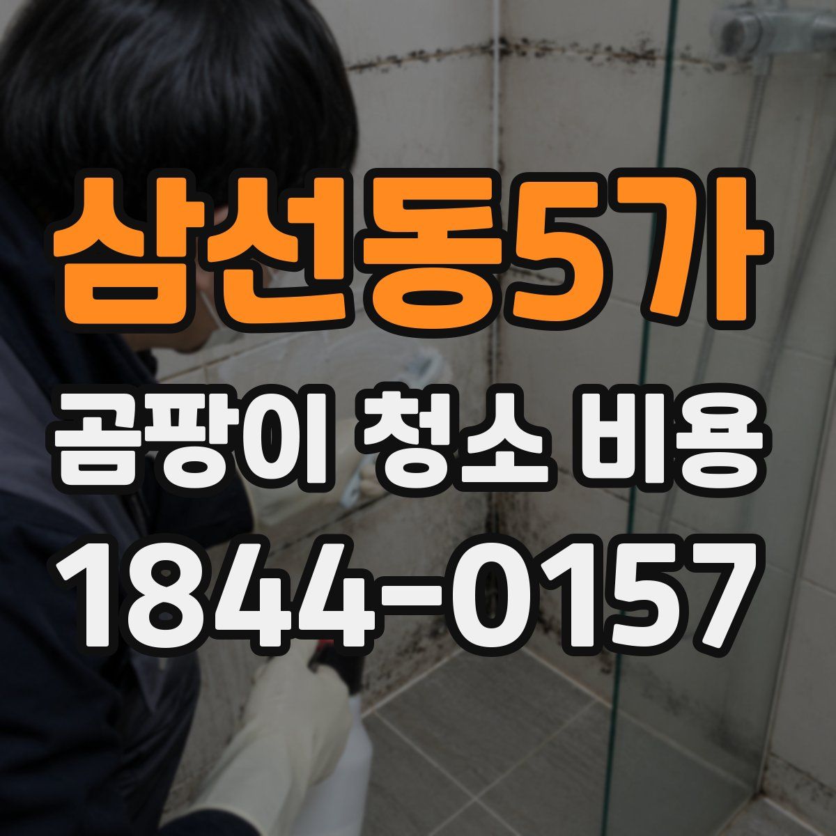 삼선동5가 곰팡이 청소 비용