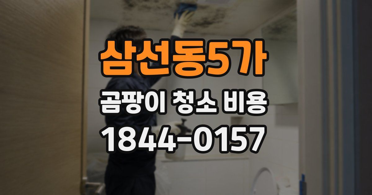 삼선동5가 곰팡이 청소 비용
