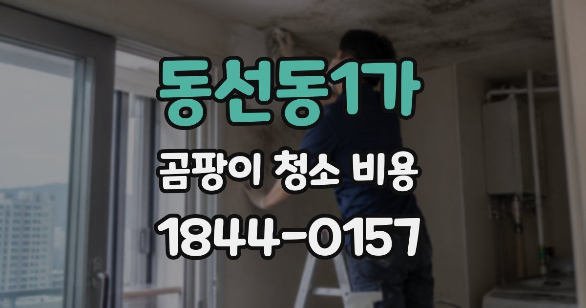 동선동1가 곰팡이 청소 비용