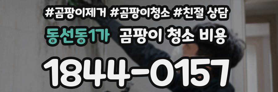 동선동1가 곰팡이 청소 비용