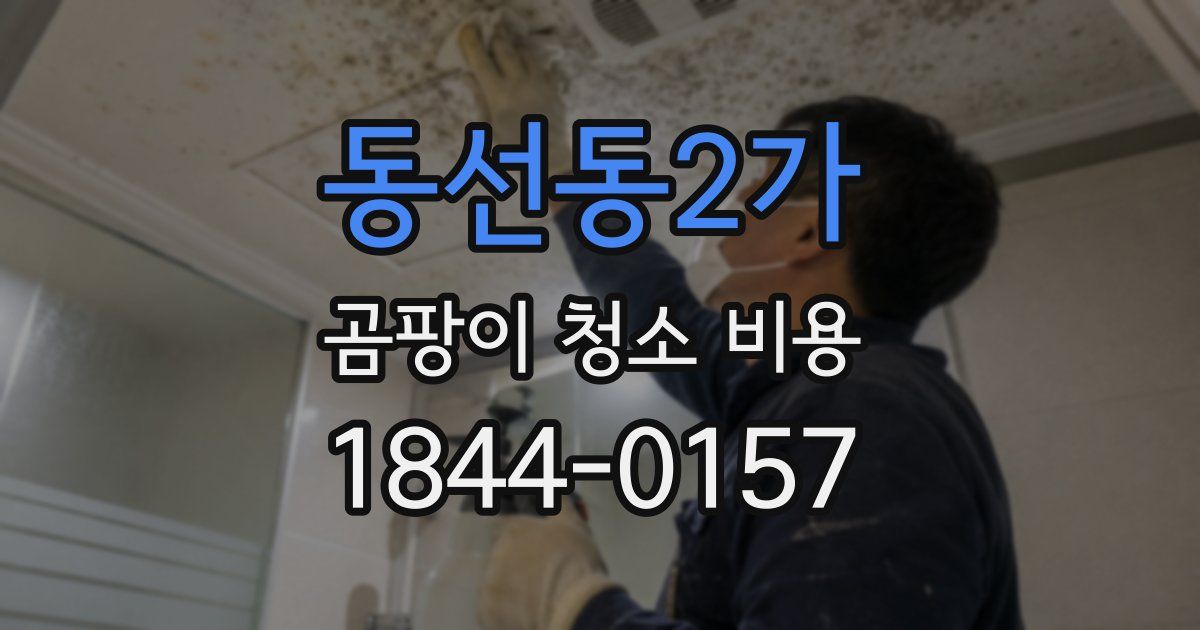 동선동2가 곰팡이 청소 비용