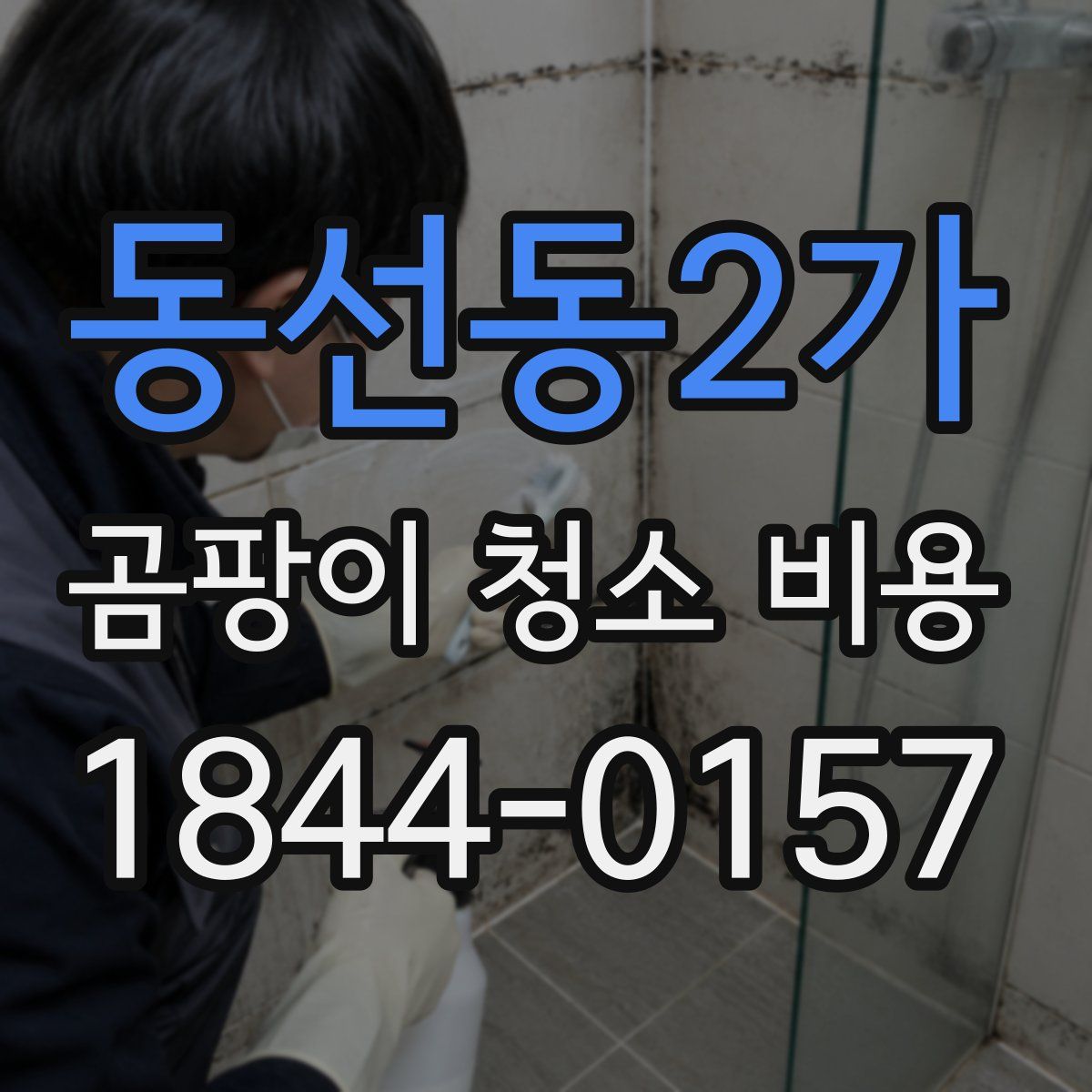 동선동2가 곰팡이 청소 비용