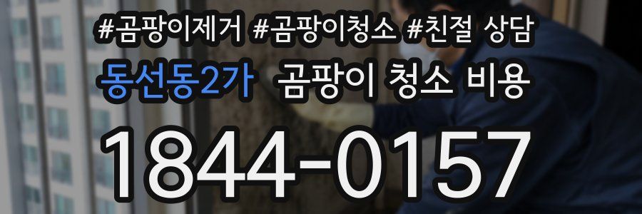 동선동2가 곰팡이 청소 비용