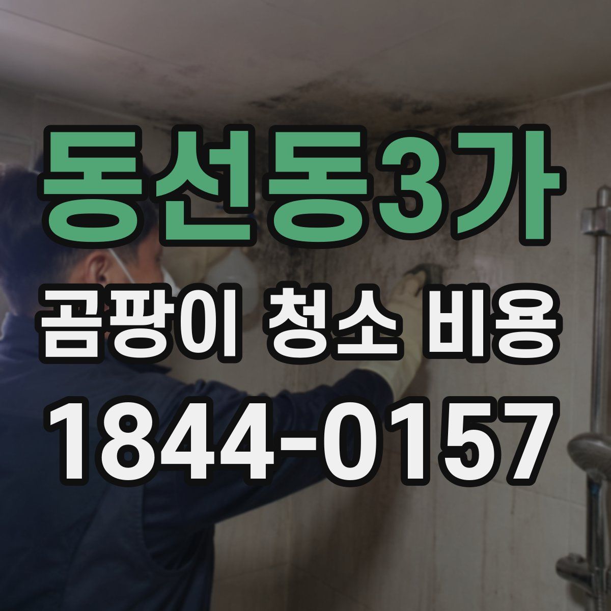 동선동3가 곰팡이 청소 비용