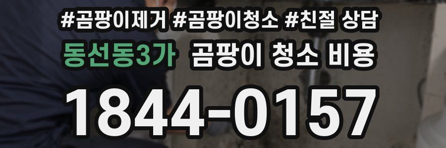 동선동3가 곰팡이 청소 비용